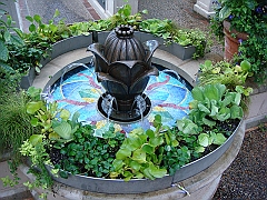 446 Longwood Gardens [2008 August 23]